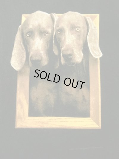 画像2: 90'S WILLIAM WEGMAN x ASPEN ART MUSEUM "FRAMED" FOTOFOLIO製 Tシャツ USA製 (VINTAGE)