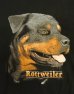 画像3: 90'S ROTTWEILER シングルステッチ 半袖 Tシャツ ブラック USA製 (VINTAGE) (3)