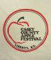 画像3: 90'S CASEY COUNTY APPLE FESTIVAL シングルステッチ 半袖 Tシャツ ホワイト USA製 (VINTAGE) (3)