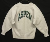 90'S CHAMPION "ASPEN" 刺繍タグ リバースウィーブ グレー USA製 (VINTAGE)