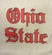 画像3: 90'S CHAMPION "OHIO STATE" 刺繍タグ リバースウィーブ グレー USA製 (VINTAGE) (3)