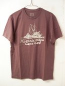 画像: J.Crew 「T-shirt」 入荷しました。