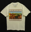 画像: 90'S GRAND CANYON シングルステッチ 半袖 Tシャツ アッシュグレー USA製 (VINTAGE) 「T-Shirt」 入荷しました。