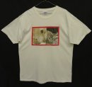 画像: SPCA INTERNATIONAL (国際動物虐待防止協会) 半袖 フォトTシャツ ホワイト (VINTAGE) 「T-Shirt」 入荷しました。