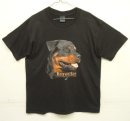 画像: 90'S ROTTWEILER シングルステッチ 半袖 Tシャツ ブラック USA製 (VINTAGE) 「T-Shirt」入荷しました。