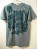 画像: m.carter 「T-shirt」 入荷しました。