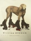 画像4: 90'S WILLIAM WEGMAN "ROLLER ROVER"  両面プリント FOTOFOLIO製 Tシャツ (DEADSTOCK)