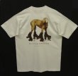 画像3: 90'S WILLIAM WEGMAN "ROLLER ROVER"  両面プリント FOTOFOLIO製 Tシャツ (DEADSTOCK)