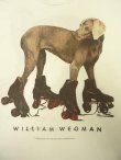 画像2: 90'S WILLIAM WEGMAN "ROLLER ROVER"  両面プリント FOTOFOLIO製 Tシャツ (DEADSTOCK)