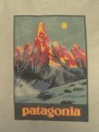 画像2: 90'S PATAGONIA バックプリント BENEFICIAL T'S 半袖 Tシャツ USA製 (VINTAGE)