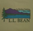 画像3: 90'S LL Bean シングルステッチ 半袖 Tシャツ ベージュ USA製 (VINTAGE)