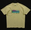 画像1: 90'S LL Bean シングルステッチ 半袖 Tシャツ ベージュ USA製 (VINTAGE)