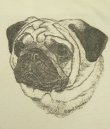 画像3: 80'S EARL SHERWAN "PUG" シングルステッチ 半袖 Tシャツ ホワイト USA製 (VINTAGE)