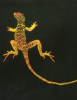 画像5: 90'S MARLBORO "LIZARD" 両面プリント 半袖 ポケット付き Tシャツ ブラック USA製 (VINTAGE)