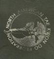 画像3: 90'S NORTH AMERICA TAE KWON DO FEDERATION シングルステッチ Tシャツ フェードブラック USA製 (VINTAGE)