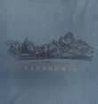 画像2: 90'S PATAGONIA "THE FITZROY SKYLINE" 黒タグ 両面プリント 半袖 Tシャツ ブルー USA製 (VINTAGE)