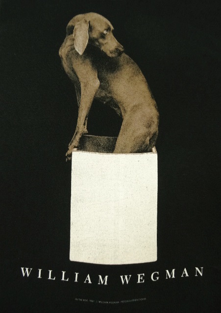 画像: 80'S WILLIAM WEGMAN "IN THE BOX" FOTOFOLIO製 Tシャツ USA製 (VINTAGE)