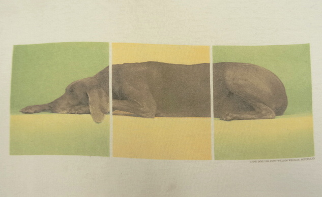 画像: 90'S WILLIAM WEGMAN "LYING DOG" FOTOFOLIO製 長袖 Tシャツ ホワイト USA製 (VINTAGE)