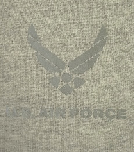 画像3: アメリカ軍 USAF (US AIR FORCE) 両面リフレクタープリント Tシャツ アッシュグレー (USED)